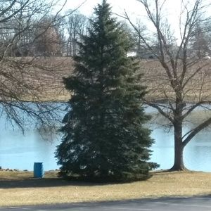 Meet your Posher, Julio